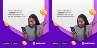 What Is Palmpay App All About